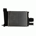 RADIATOR FOR INTERCOOLER PETROL/DIESEL (255x226x62) DACIA DOKKER 12-