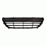 GRILL IN FRONT BUMPER OE HYUNDAI i20 12-15